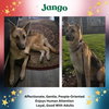 Jango