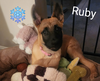 Ruby