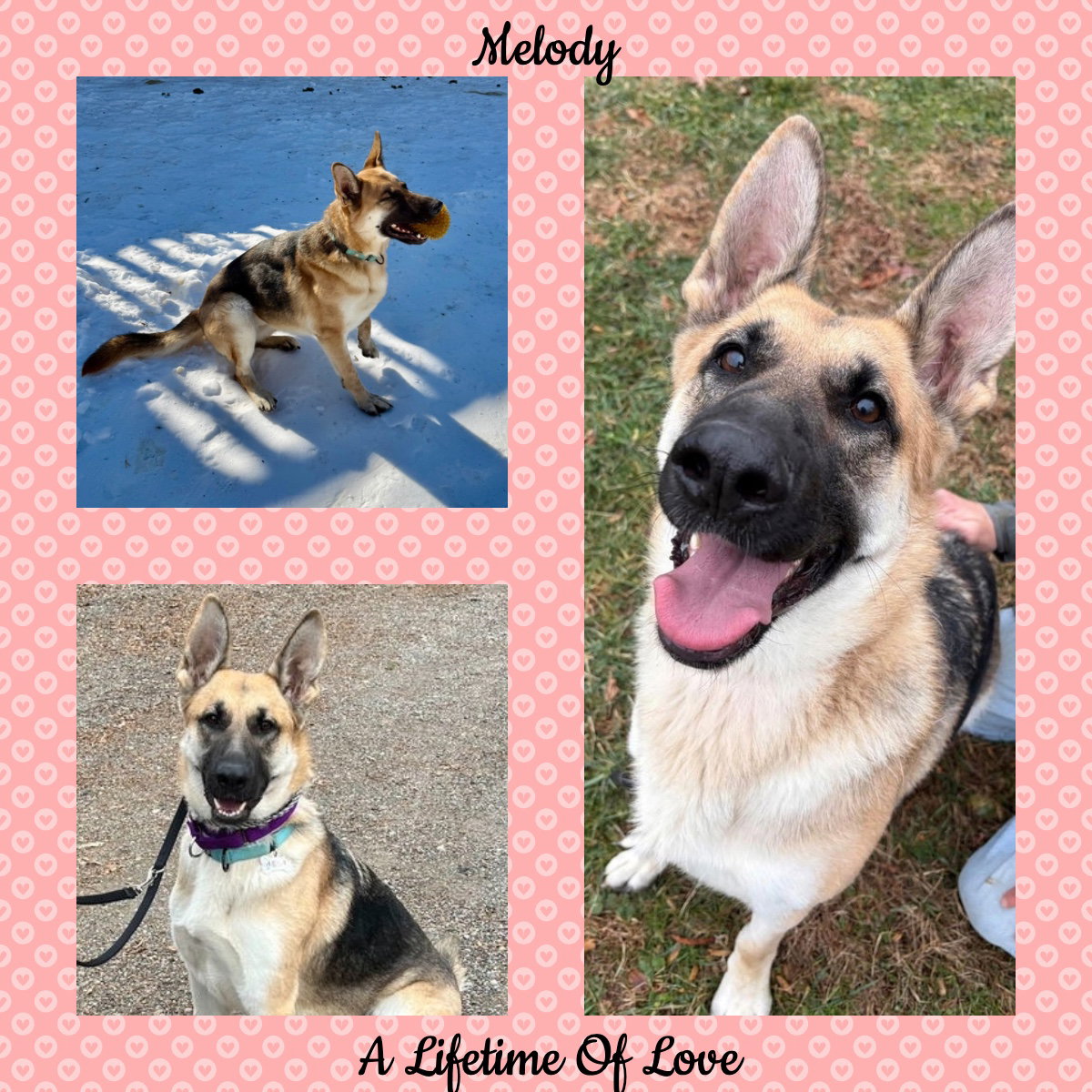Melody Image