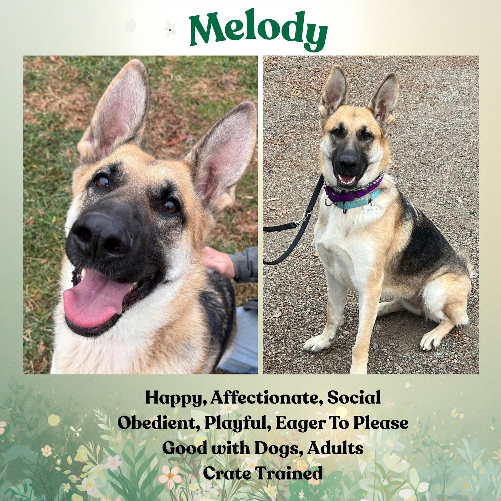 Melody