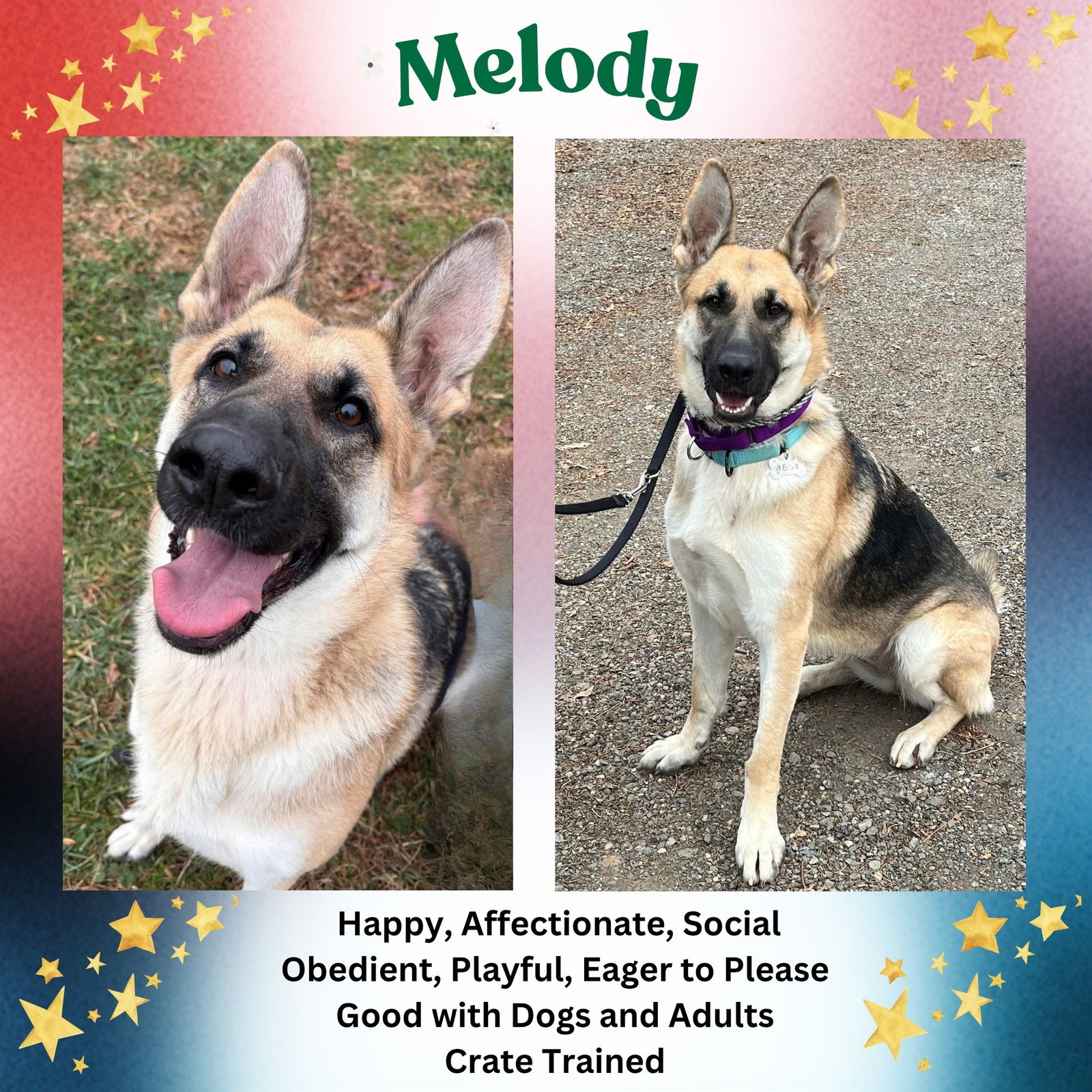 Melody Image
