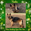 Nala