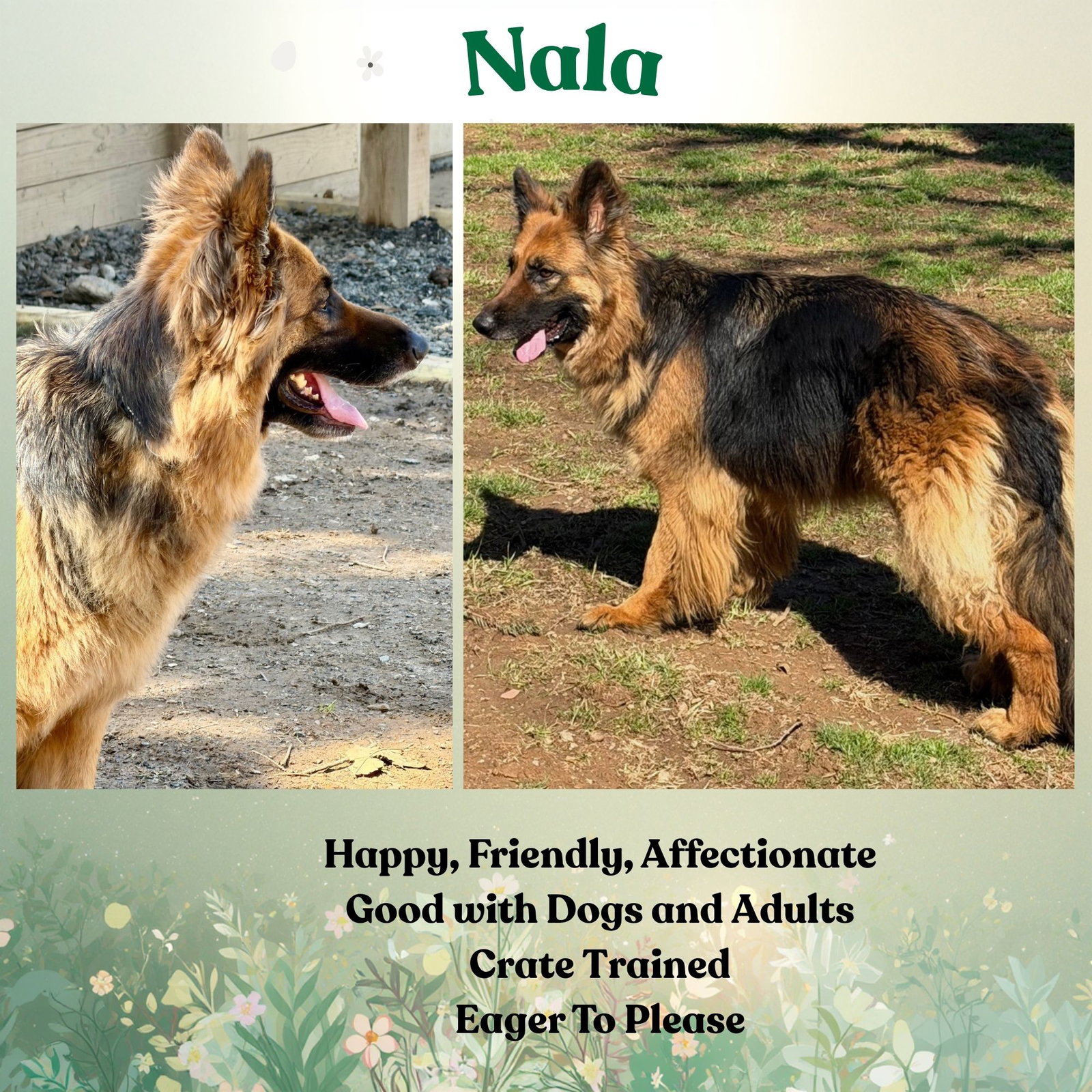 Nala