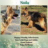 Nala