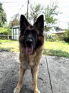Ares