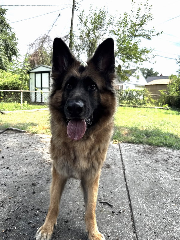 Ares