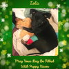 Lola