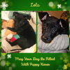 Lola