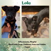 Lola