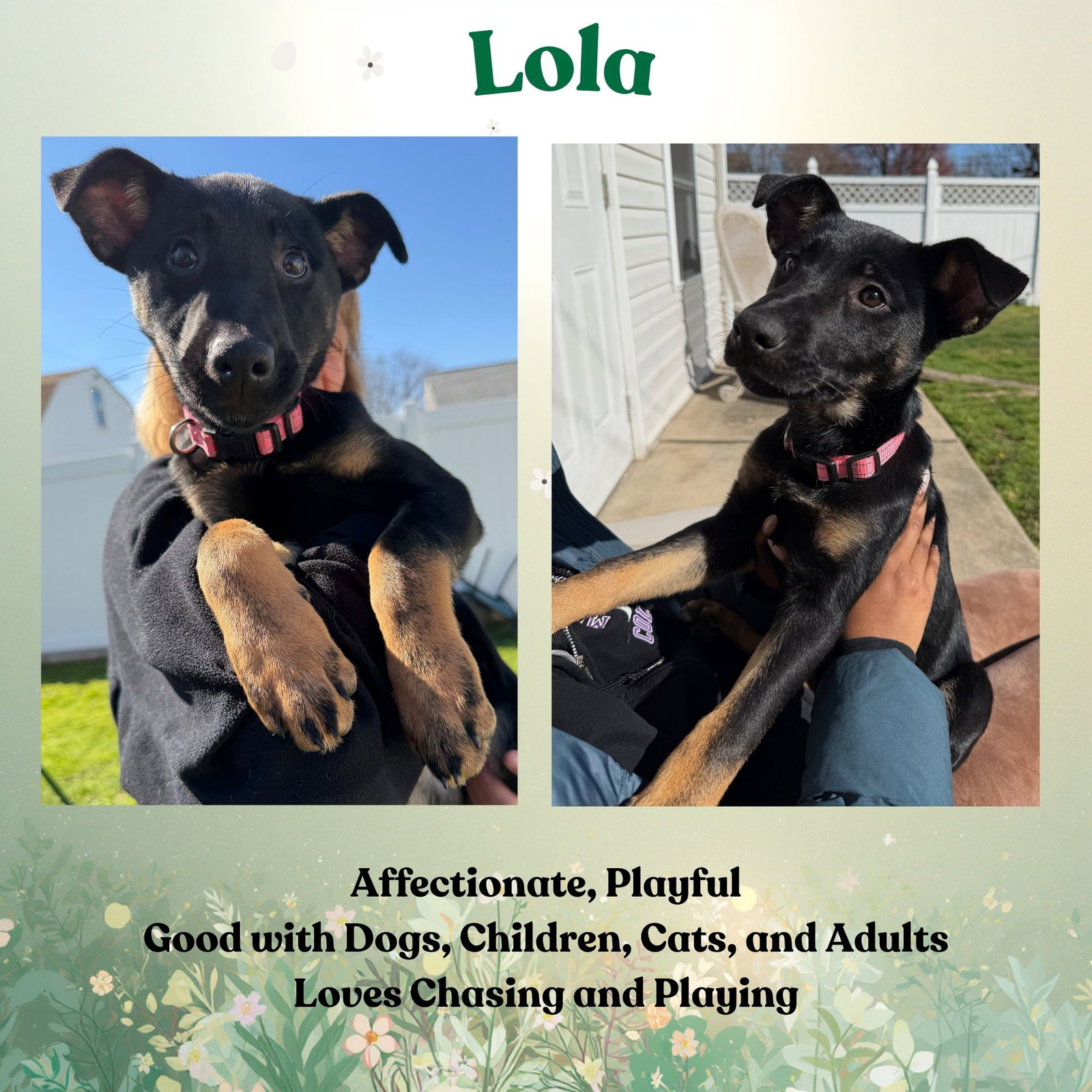 Lola