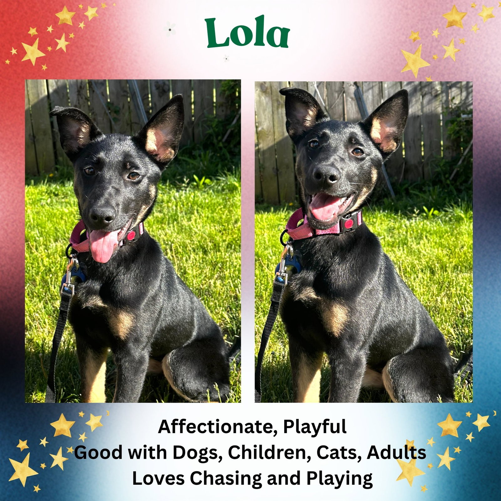 Lola Image