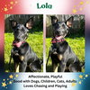 Lola