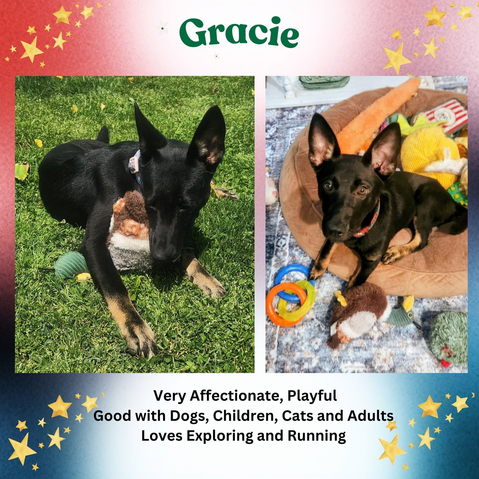 Gracie Image