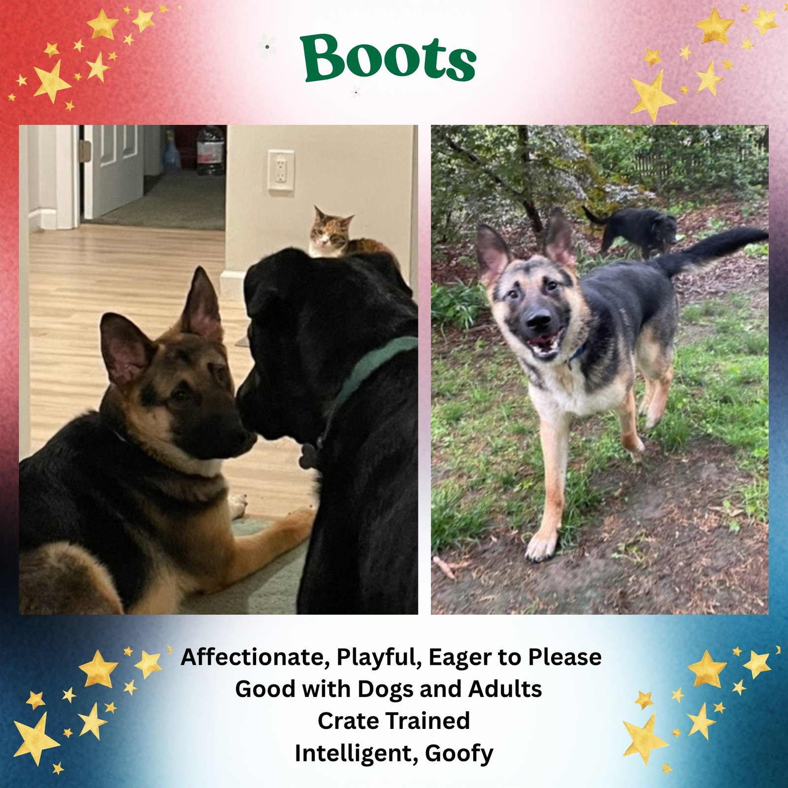 Boots Image
