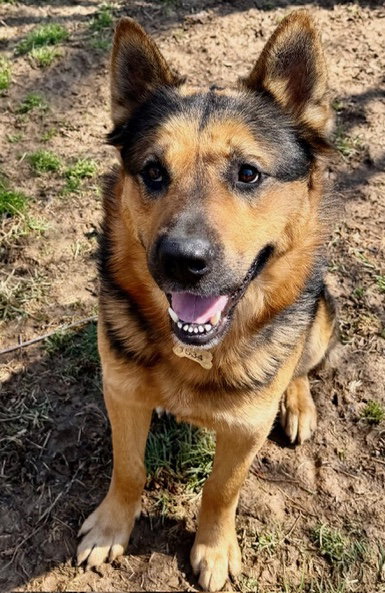 Goliath, photo 13