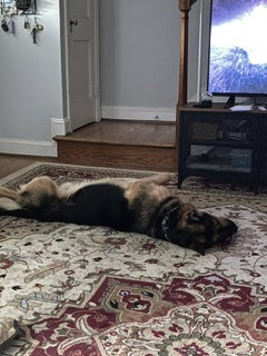 Goliath, photo 8
