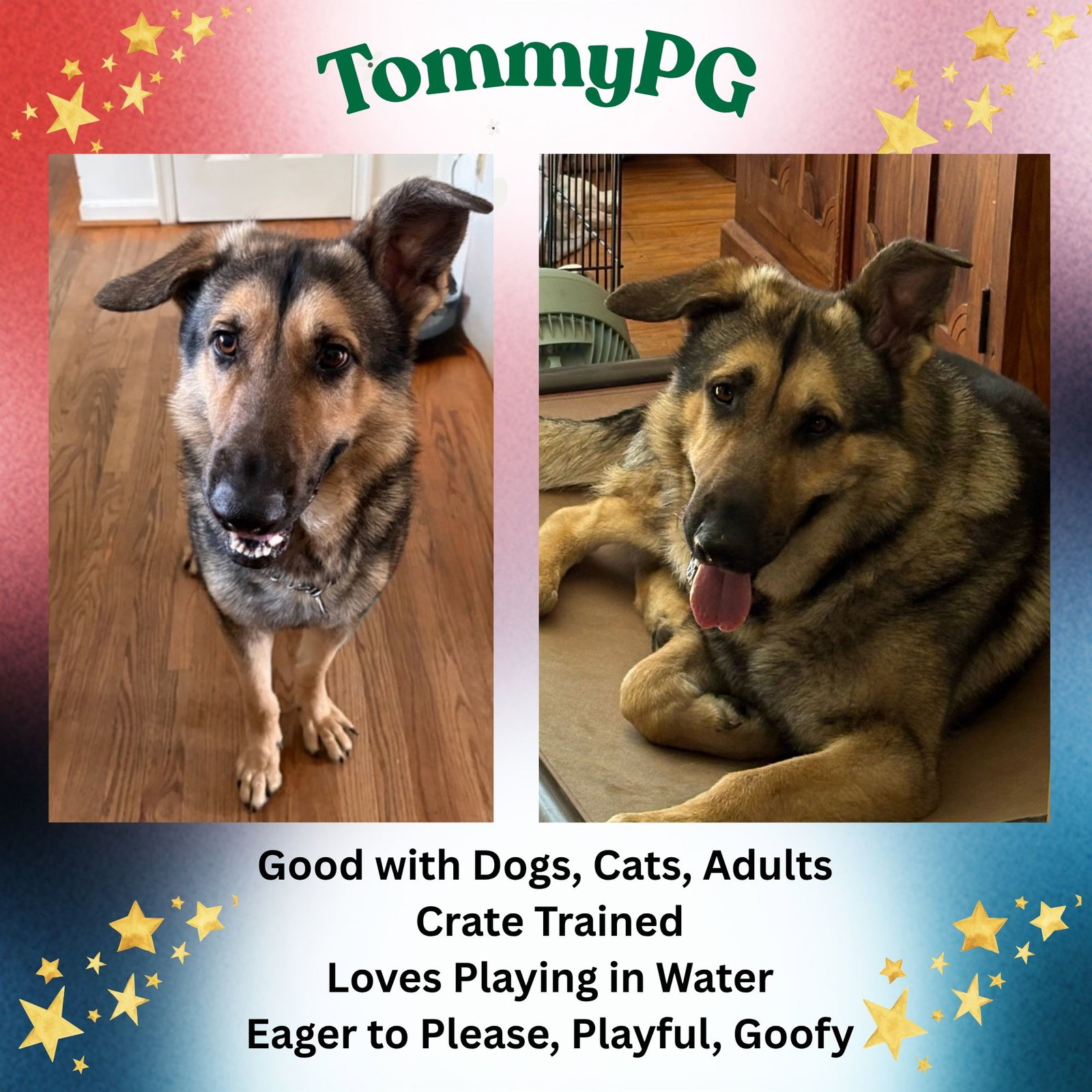 TommyPG Image