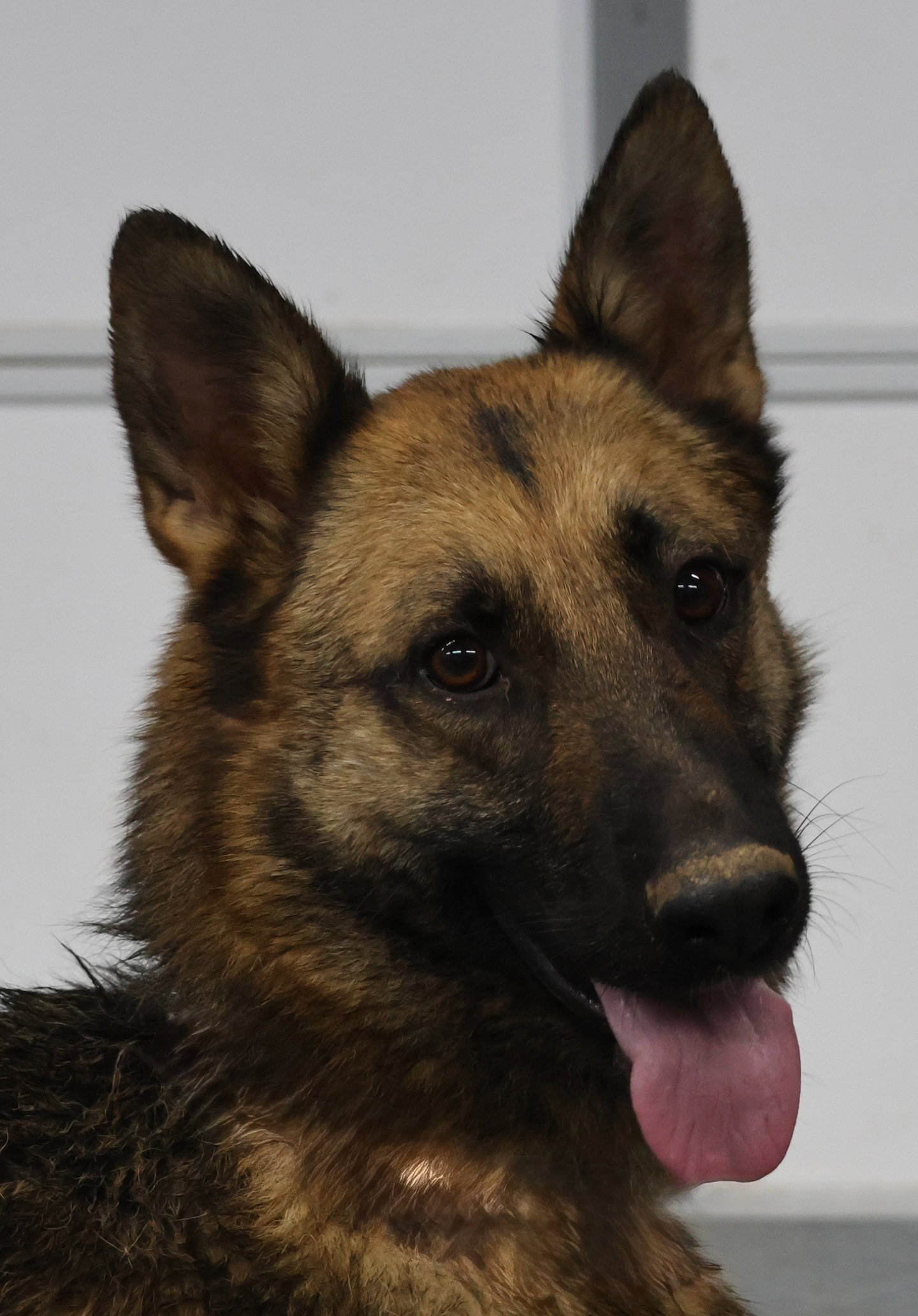 Gia, photo 8