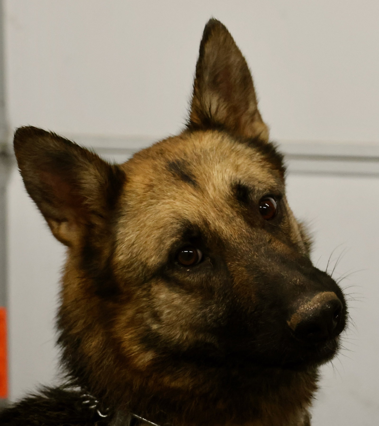 Gia, photo 9