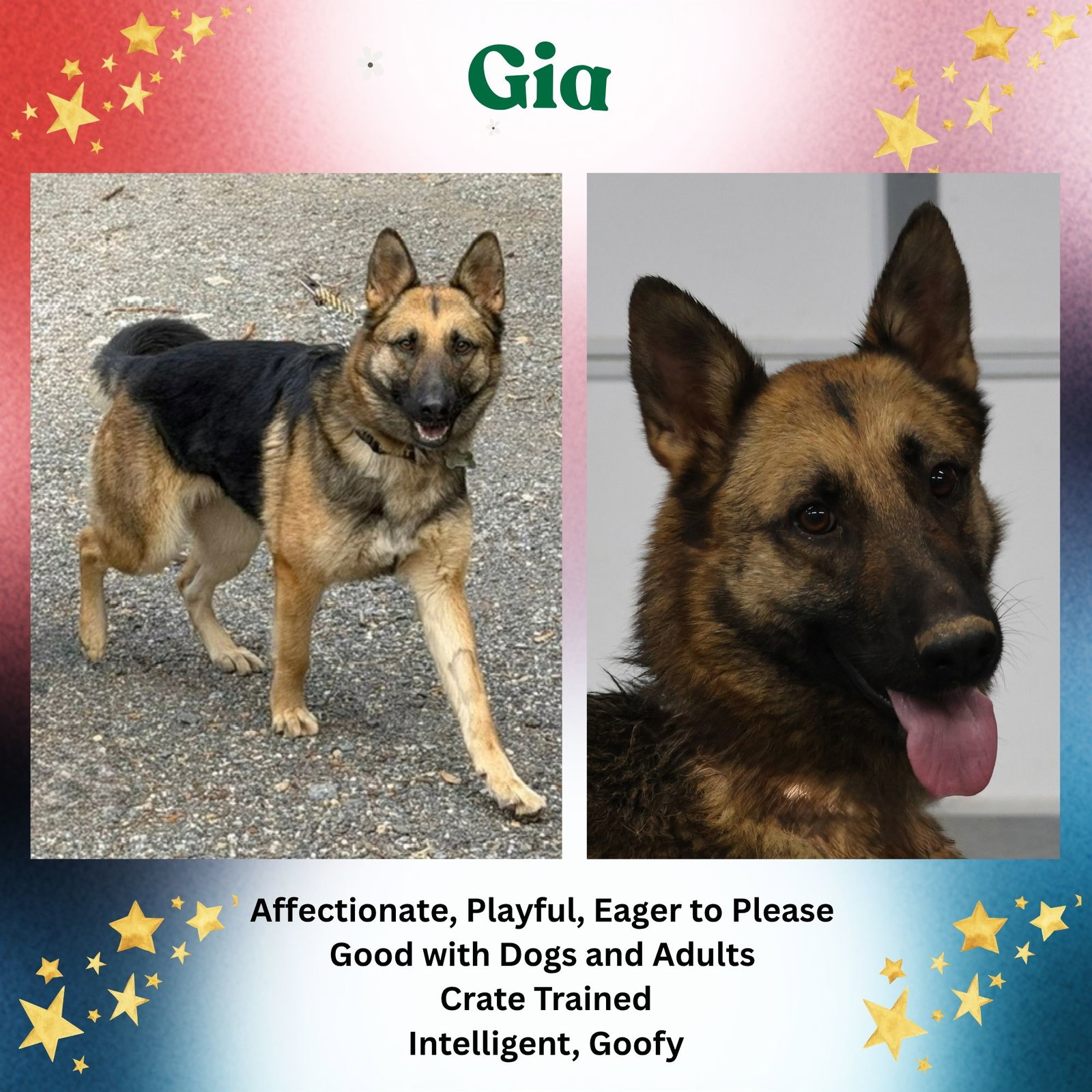 Gia