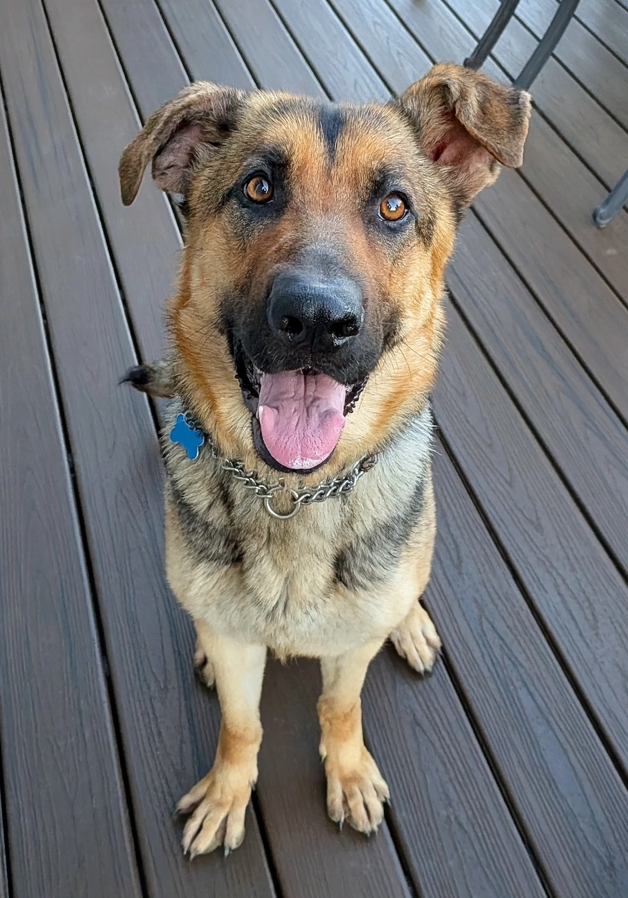 Luna