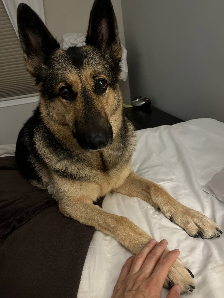 Neala