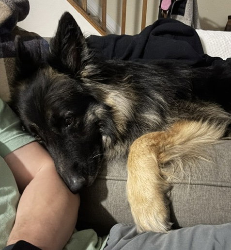 Athena, photo 5