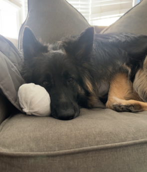 Athena, photo 8