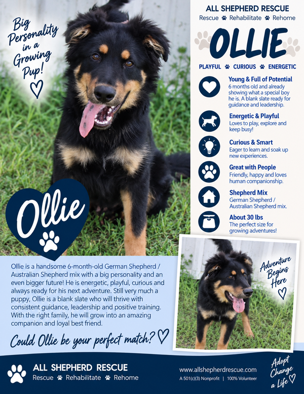 Ollie