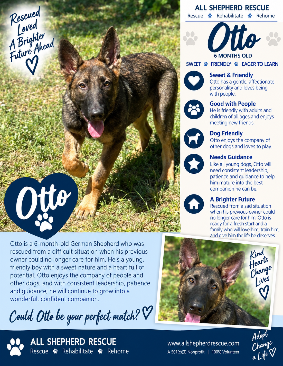 Otto, dog — photo 1 of 1
