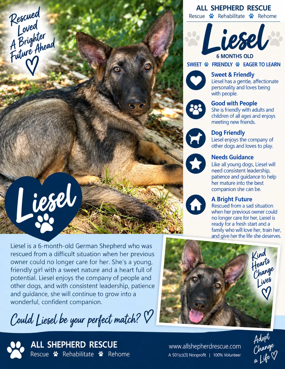 Liesel - German Shepherd Dog