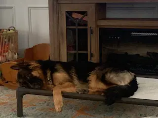 Izzy image 2