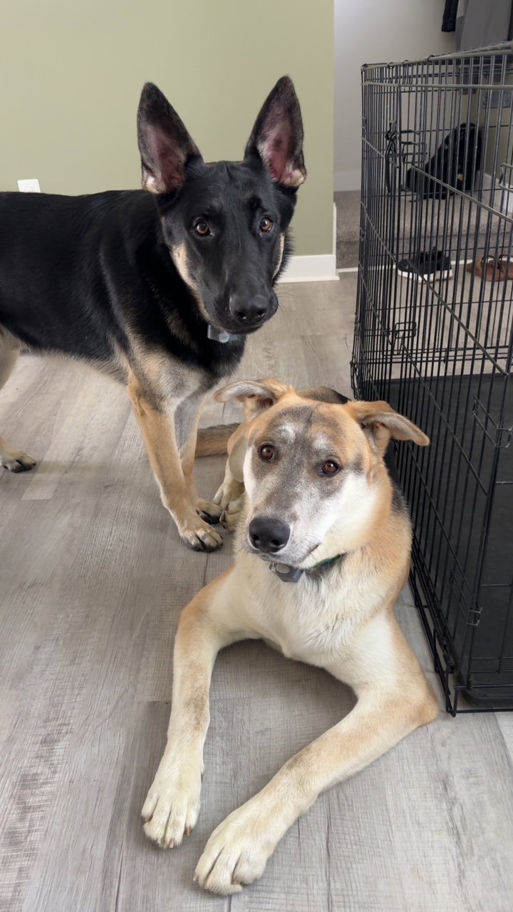 Louie and Luka