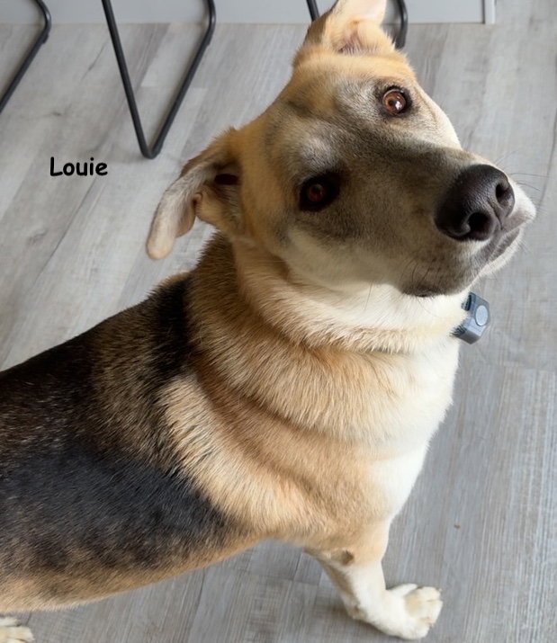 Louie and Luka, photo 9