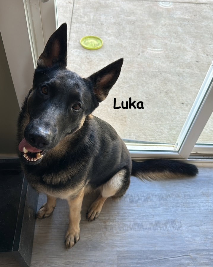Louie and Luka, photo 7