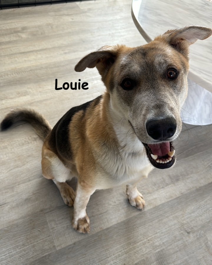 Louie and Luka, photo 10