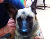 Muneca