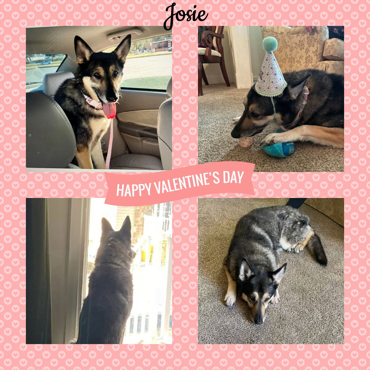 Jocie nka ECHO Image