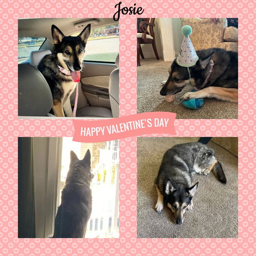 Jocie nka ECHO
