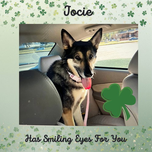 Jocie nka ECHO