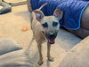 Polly - Photo 10