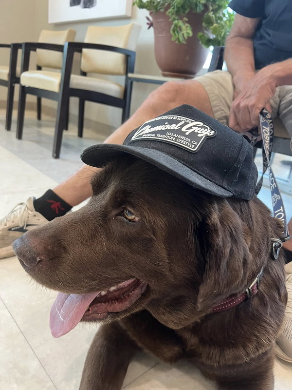 Bo - ADOPTED!!