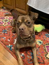Twix - Photo 2