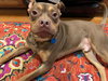 Twix - Photo 3