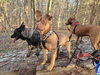 Twix - Photo 4