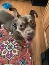 Twix - Photo 9