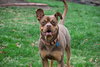 Twix - Photo 10