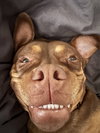 Twix - Photo 11