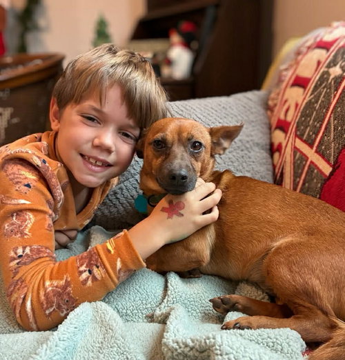 picture of the dog needing adoption