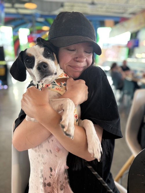 picture of the dog needing adoption